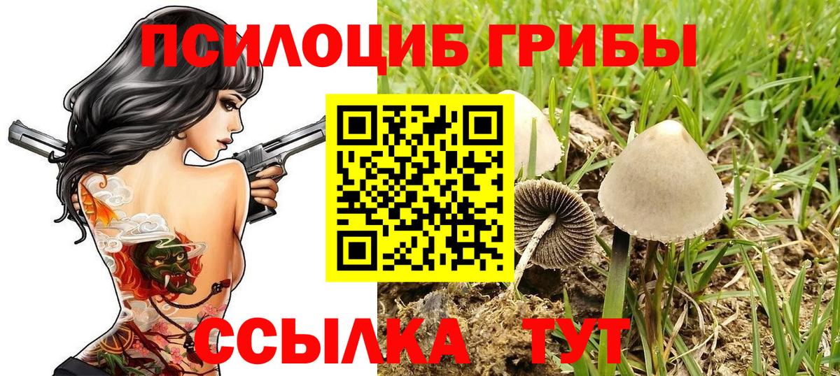 Псилоцибиновые грибы мицелий  Псилоцибиновые грибы Magic Shrooms  Вход с VPN  Железногорск 